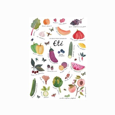 poster decoration A4 seasonal fruits and vegetables - summer