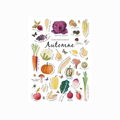 affiche décoration A4  fruits et légumes de saison - automne