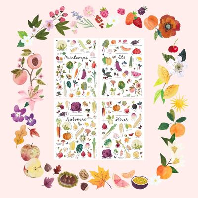 Lote de 4 carteles decorativos A4 frutas y verduras de temporada