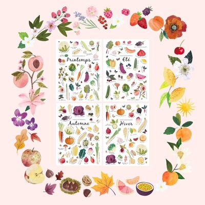 Lot de 4 Affiches décoratives A4  fruits et légumes de saison