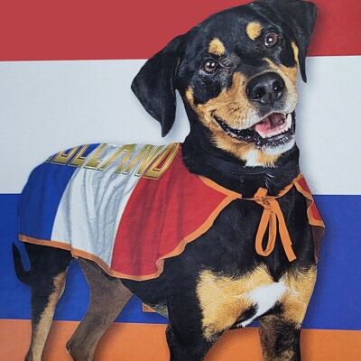 Pet products - dog costumes Holland size S and M