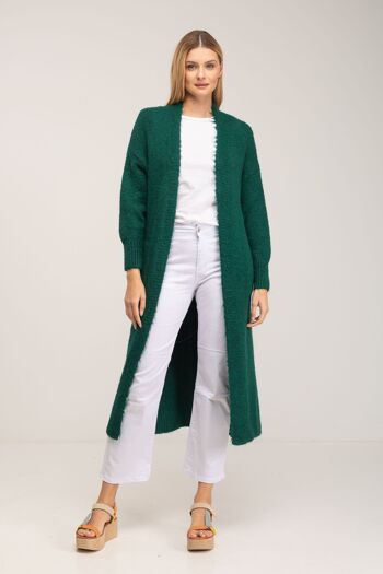 VESTE4751_GREEN 1