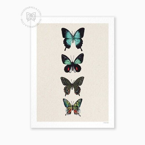 Poster Quatre Papillons