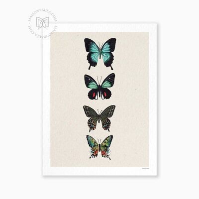 Poster Quatre Papillons
