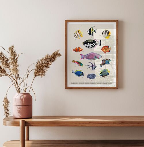 Affiche Les Poissons Coralliens