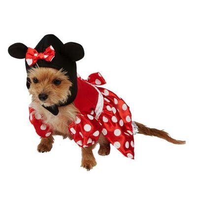 Costume Chien Minnie Mouse Taille S