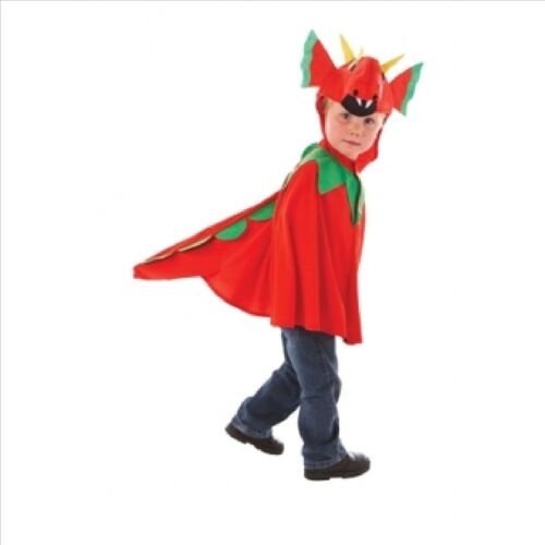 Déguisement Enfant Dragon 5-6 Ans