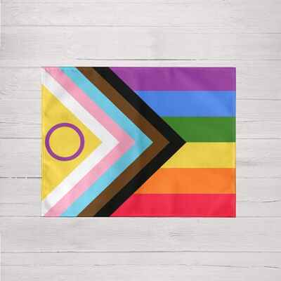 Pack of 2 individual placemats Pride 101 45x35 cm