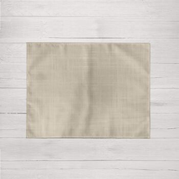 Pack de 2 nappes individuelles Beige 50x40 cm 2