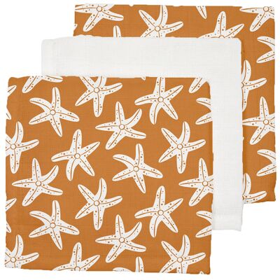 Hydrophilic Cloths Starfish 25 x 25 cm - 3 pieces