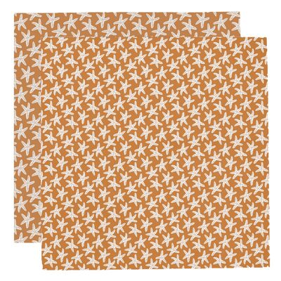 Hydrophilic Cloths Starfish 110 x 110 cm - 2 pieces