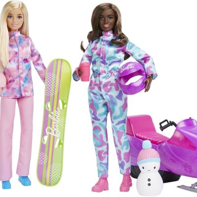 Caja de deportes de invierno de Barbie