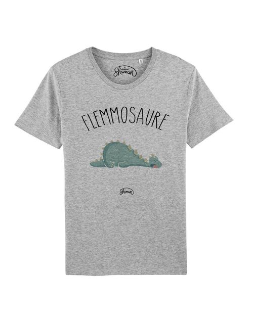 TSHIRT GRIS CHINE HOMME FLEMMOSAURE