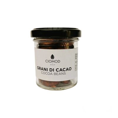 GRANOS DE CACAO TOSTADOS