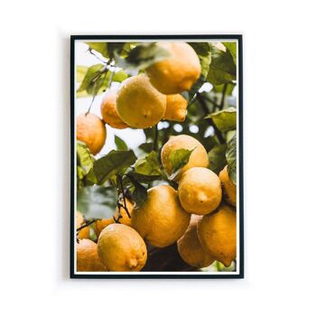 Oranges d'Italie - affiche de cuisine 3