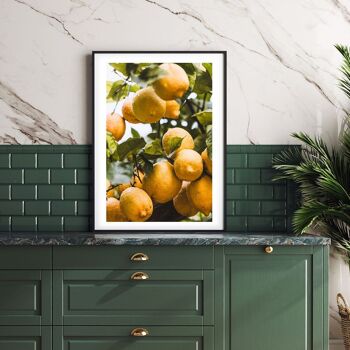 Oranges d'Italie - affiche de cuisine 5