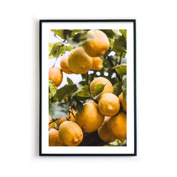 Oranges d'Italie - affiche de cuisine 6