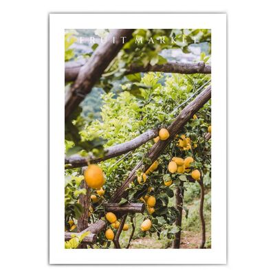 Mercato della frutta Amalfi - Poster della cucina italiana