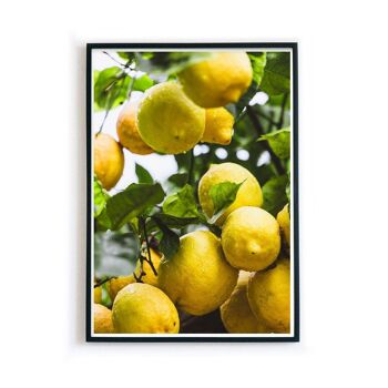 Citrons frais - affiche de cuisine 2