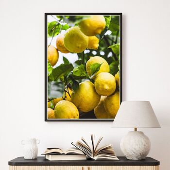 Citrons frais - affiche de cuisine 3