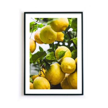 Citrons frais - affiche de cuisine 5