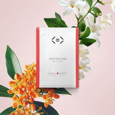 Gel lavamanos ecológico, polvo para diluir, recambio de 25 g