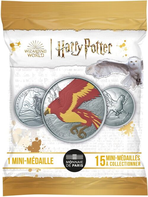Pochette Surprise Médaille Harry Potter V2