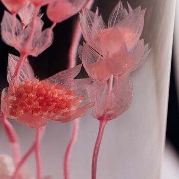 L'Herbarium de Théophile - Astrance Rose - Fleur immergée 6