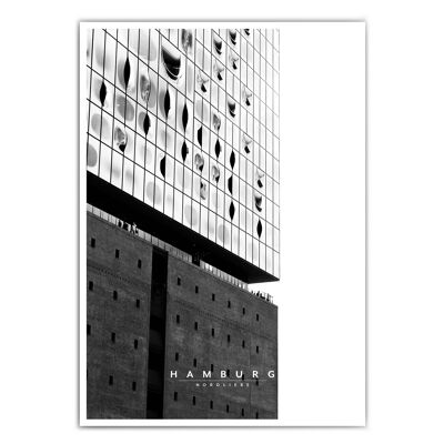 Black and white Elbphilharmonie - Hamburg picture