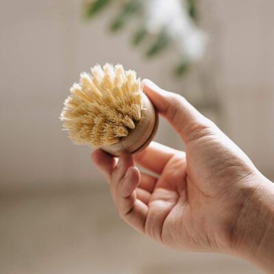 Replacement Head for Reusable Dish Brush (Firm or Soft Bristles)