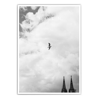 Mouette de la cathédrale de Cologne Poster