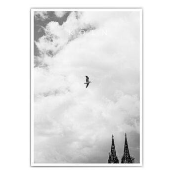 Mouette de la cathédrale de Cologne Poster 1
