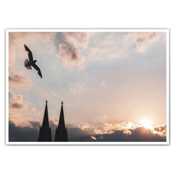 Affiche de Cologne - Mouette au coucher du soleil à la cathédrale de Cologne 1