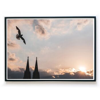Affiche de Cologne - Mouette au coucher du soleil à la cathédrale de Cologne 2