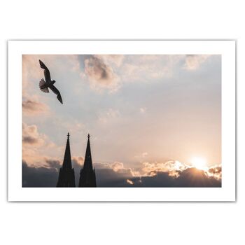 Affiche de Cologne - Mouette au coucher du soleil à la cathédrale de Cologne 4