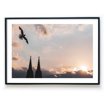 Affiche de Cologne - Mouette au coucher du soleil à la cathédrale de Cologne 5
