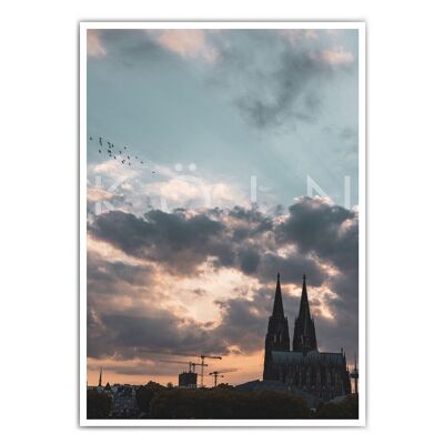 Pappagalli di Colonia - Colonia Foto di Cattedrale di Colonia