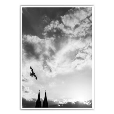 Poster Cologne Cathedral Bird - Mural