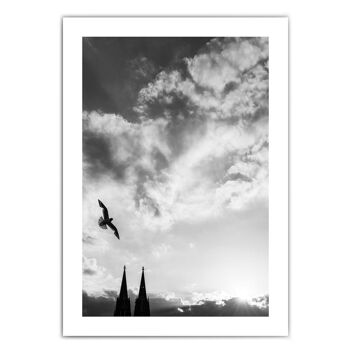 Poster Oiseau de la cathédrale de Cologne - Peinture murale 8