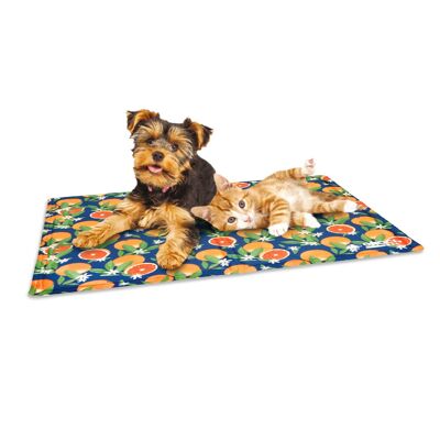 Tapis rafraîchissant pour chien - Agrumes bleus