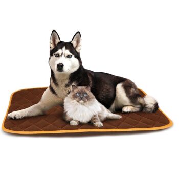 Tapis chauffant pour chiens – Thermo 1