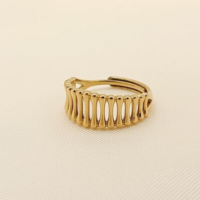 Golden adjustable scale ring