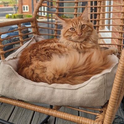 Hemp Wool Rectangle Pet Bed