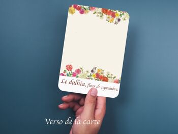 Surprise...carte à gratter DALHIA, fleur de septembre. 3