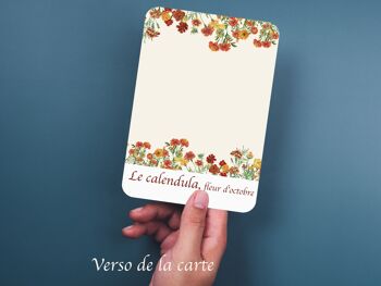 Surprise... carte à gratter CALENDULA, fleur d'octobre. 3