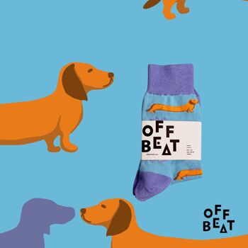 Chaussettes pour chien 5