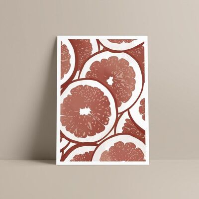 Affiche - Illustration GRAPEFRUIT