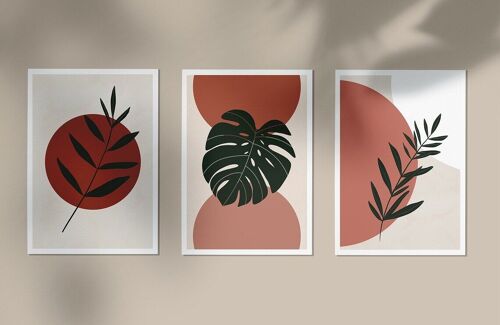 Lot de 3 affiches - Illustrations PLANTS