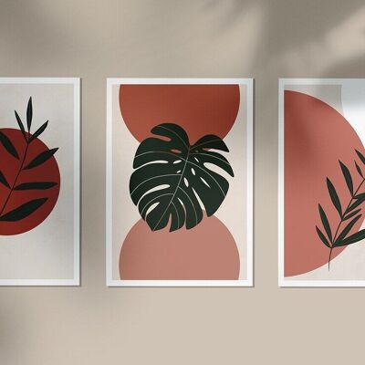 Lot de 3 affiches - Illustrations PLANTS