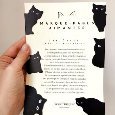 Marque-pages chats